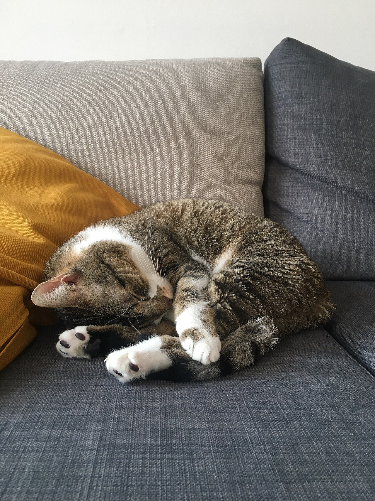Annual Report: A Year of Sitting Very Still